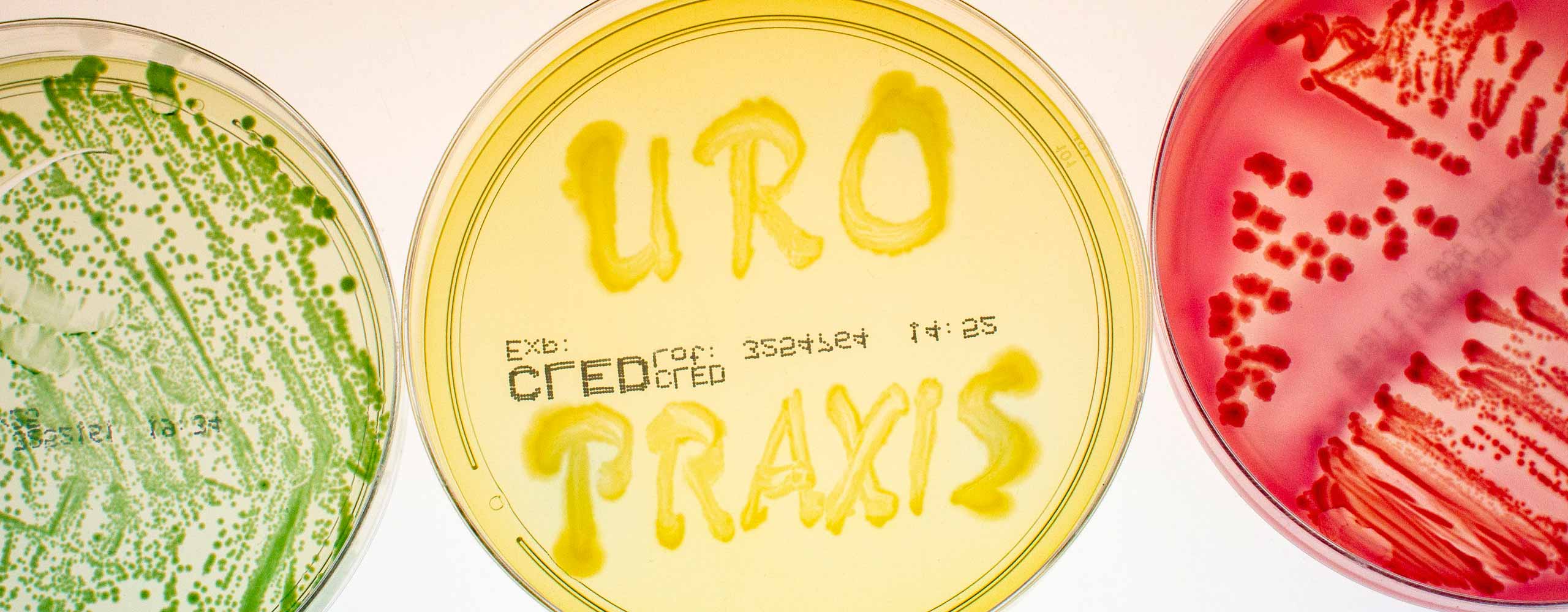 Urologie Praxis Buchen